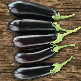 تصویر 2 از قیمت بادمجان قلمی ریز + خرید باور نکردنی